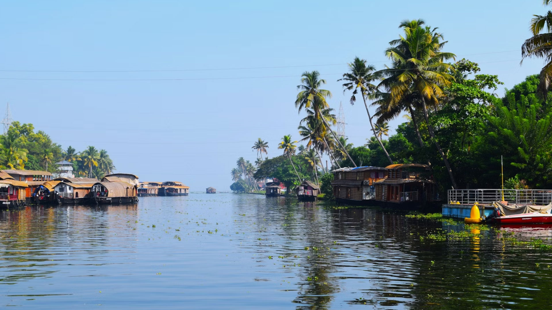 Nice Tour and Travel