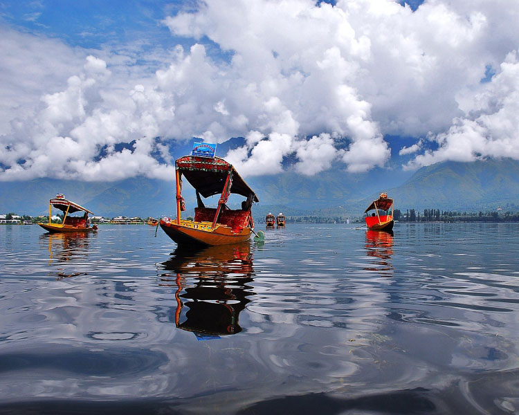 Nice Tour and Travel