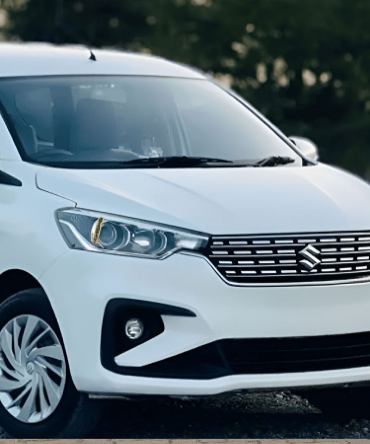 Nice Tour and Travel