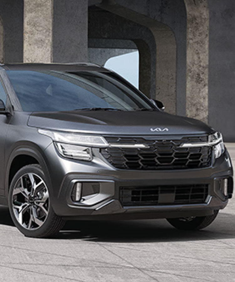 Nice Tour and Travel